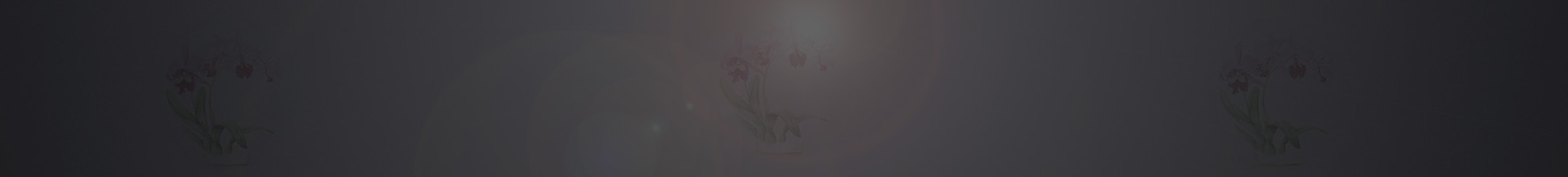 Véronique Etève-Habègre - Peinture sur Plat  en Porcelaine (Plat Orchidée )