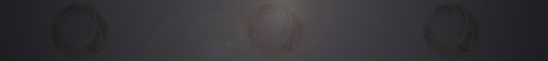 Véronique Etève-Habègre - Peinture sur Plat  en Porcelaine (Plat Perroquets )